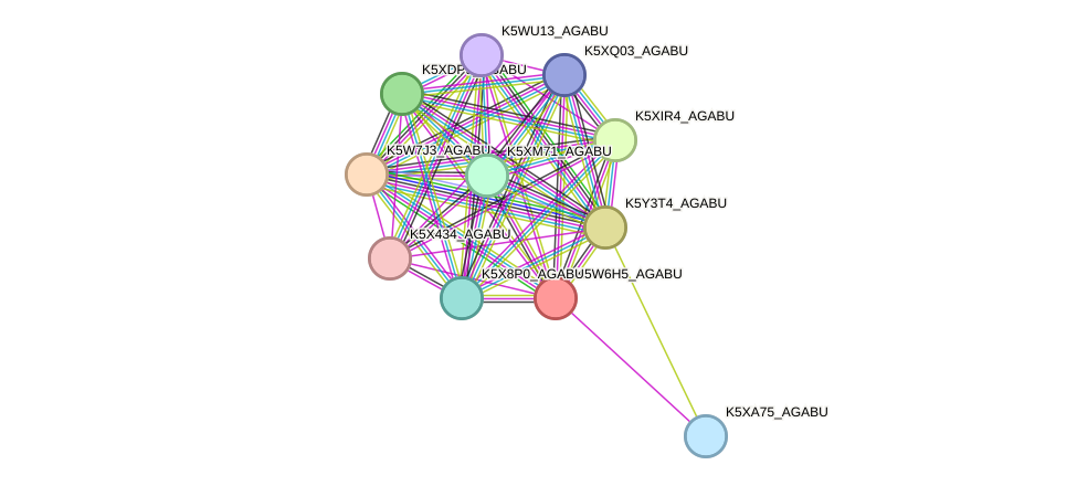 STRING protein interaction network