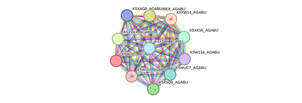 STRING protein interaction network