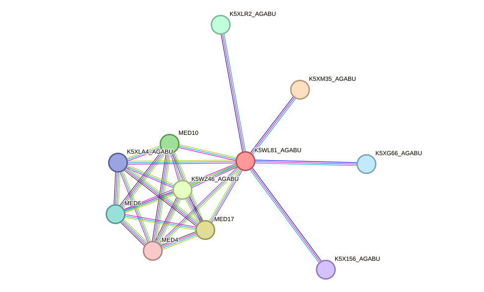 STRING protein interaction network