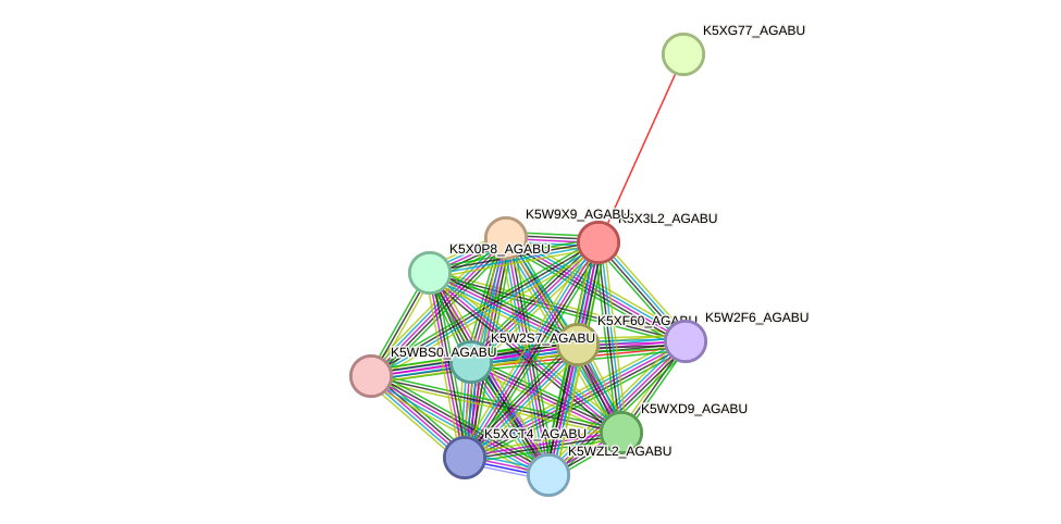 STRING protein interaction network