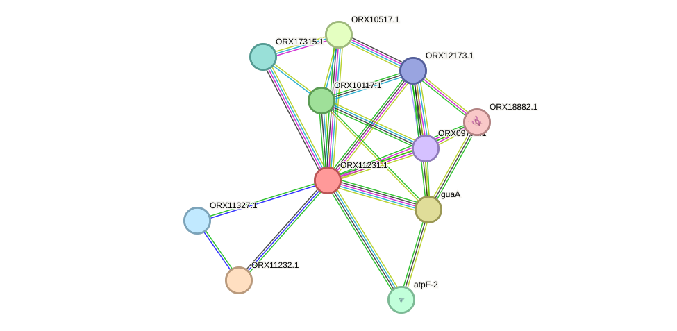 STRING protein interaction network