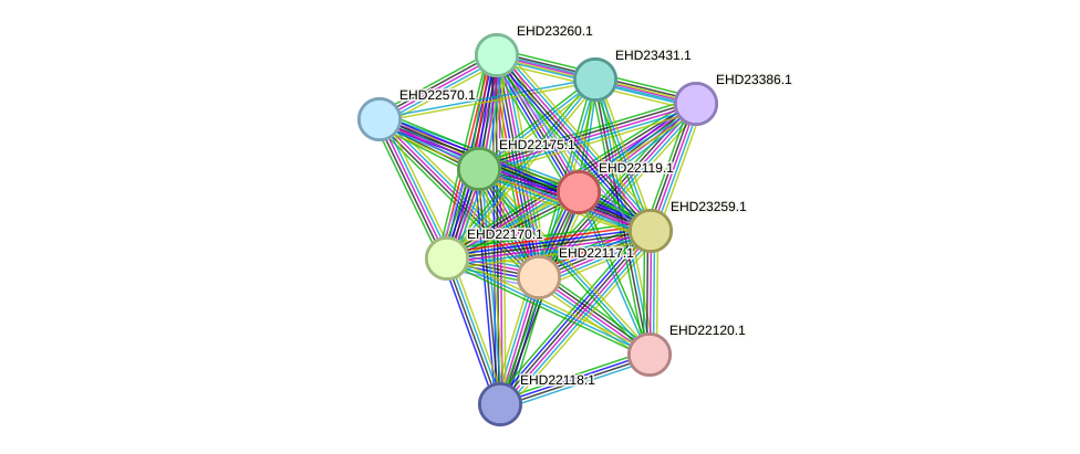 STRING protein interaction network