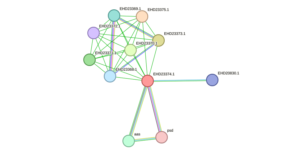 STRING protein interaction network