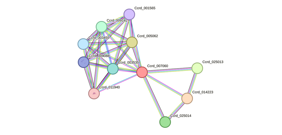 STRING protein interaction network