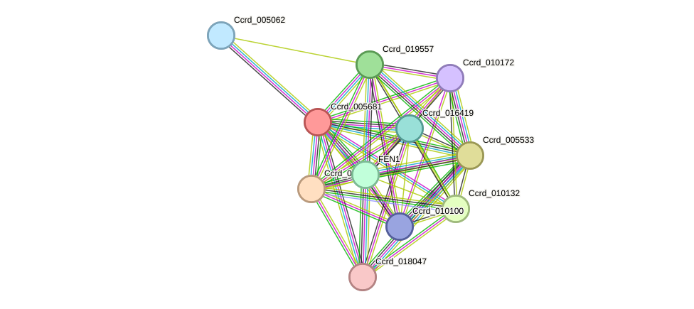 STRING protein interaction network