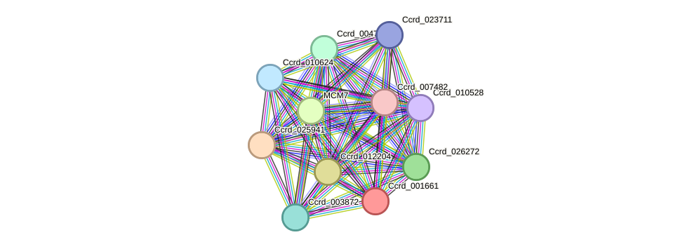 STRING protein interaction network