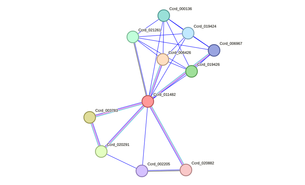 STRING protein interaction network