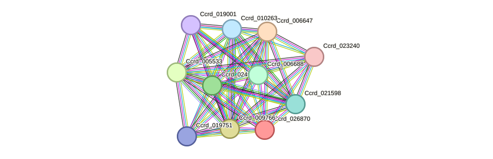 STRING protein interaction network