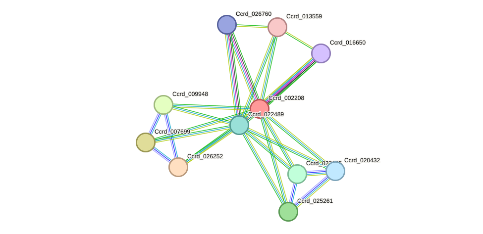 STRING protein interaction network