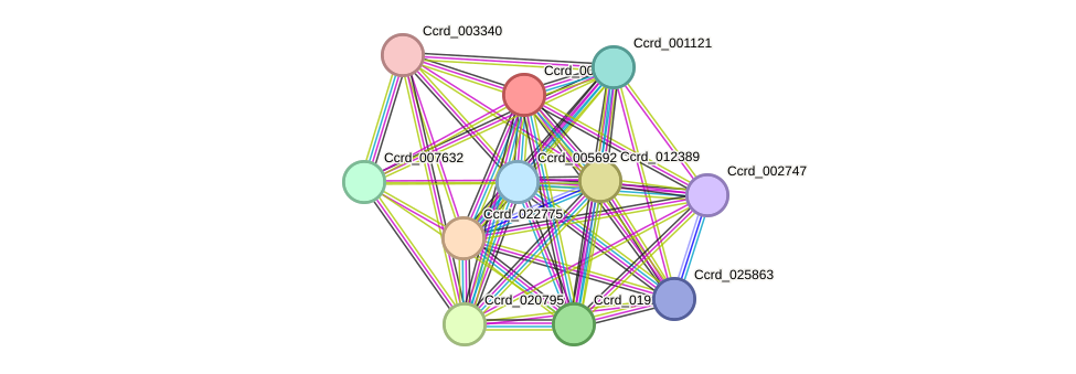 STRING protein interaction network