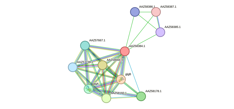 STRING protein interaction network