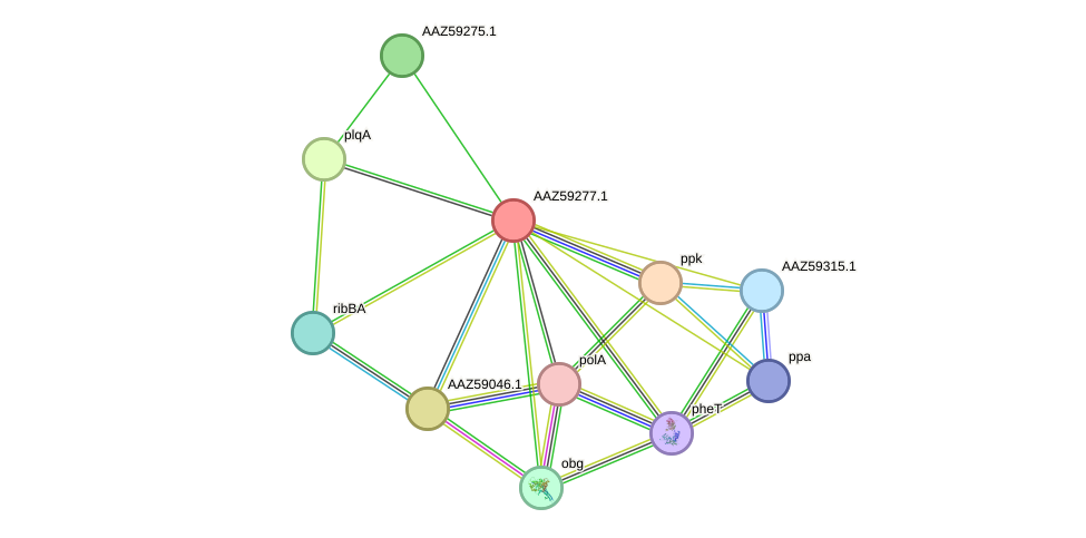 STRING protein interaction network