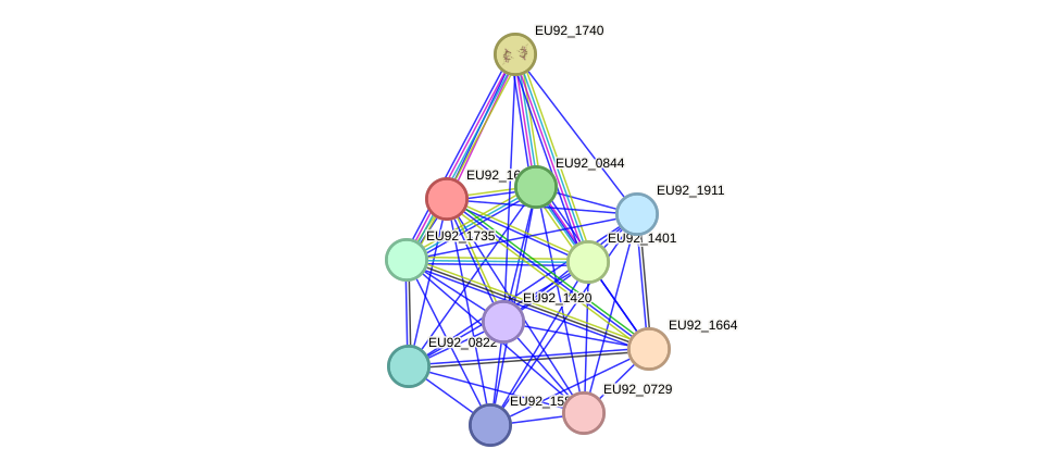 STRING protein interaction network
