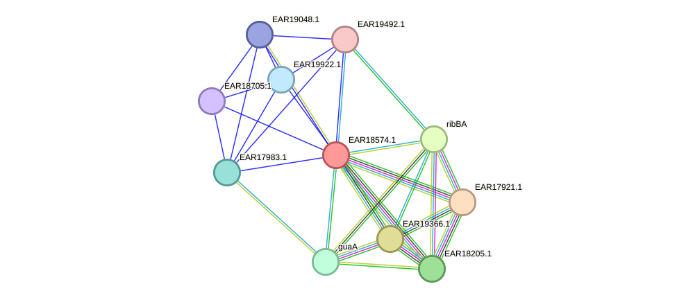 STRING protein interaction network