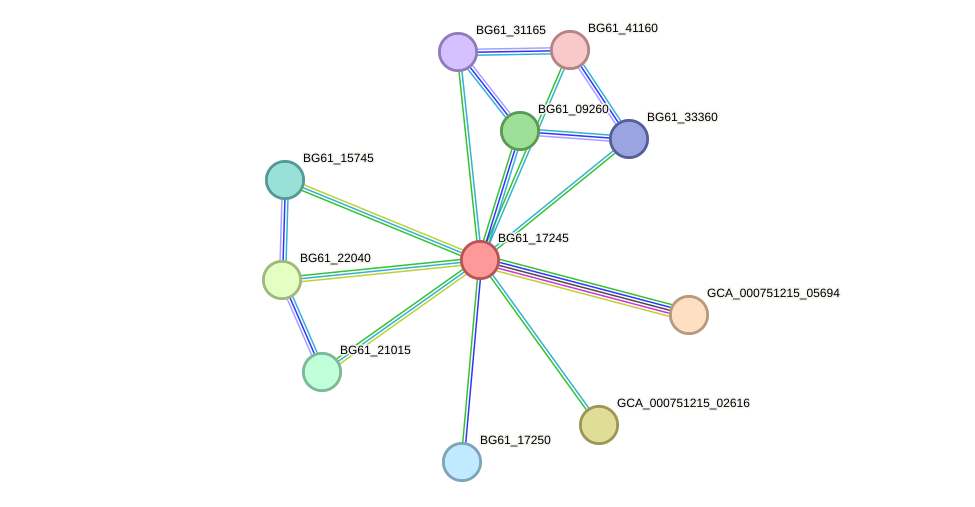 STRING protein interaction network