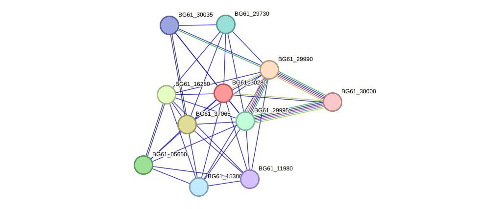 STRING protein interaction network