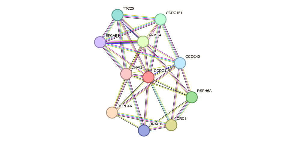 STRING protein interaction network