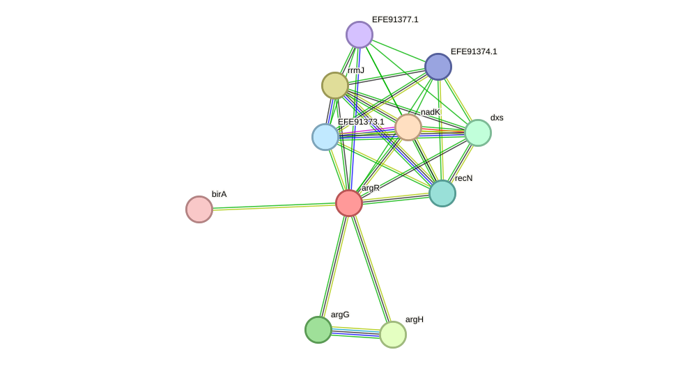 STRING protein interaction network