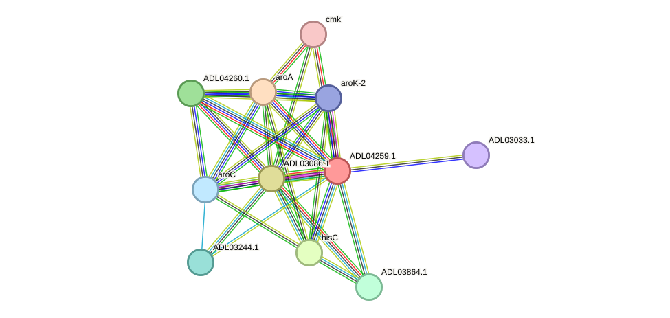 STRING protein interaction network