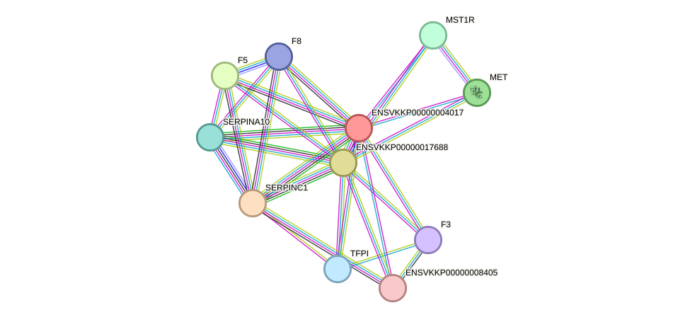 STRING protein interaction network