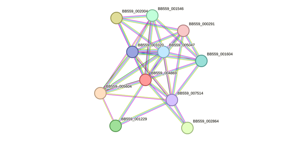 STRING protein interaction network