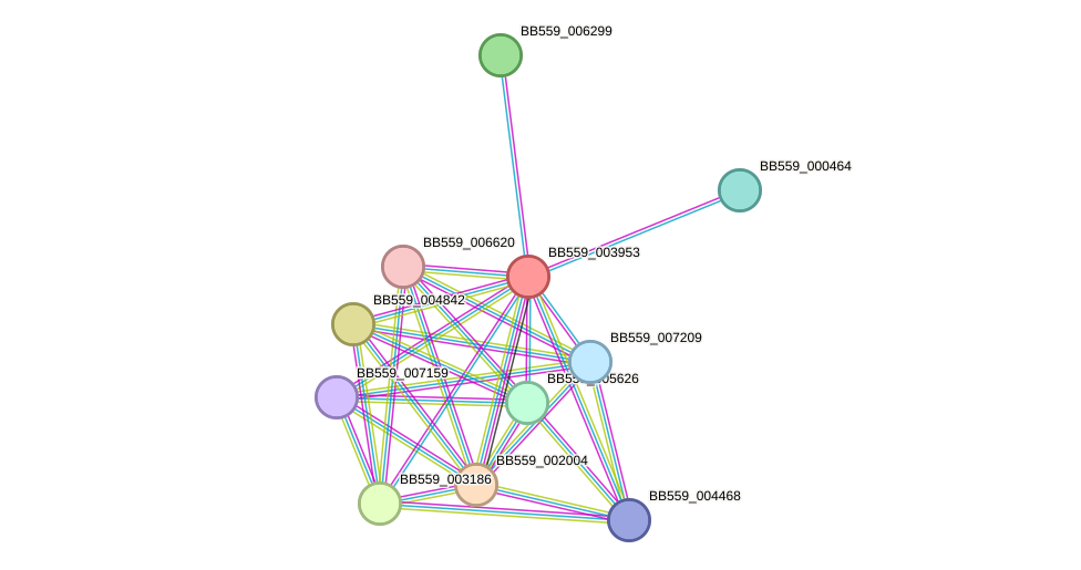 STRING protein interaction network