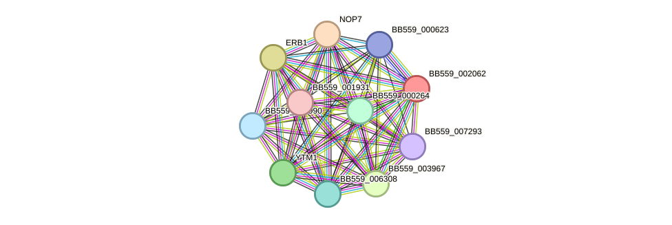 STRING protein interaction network