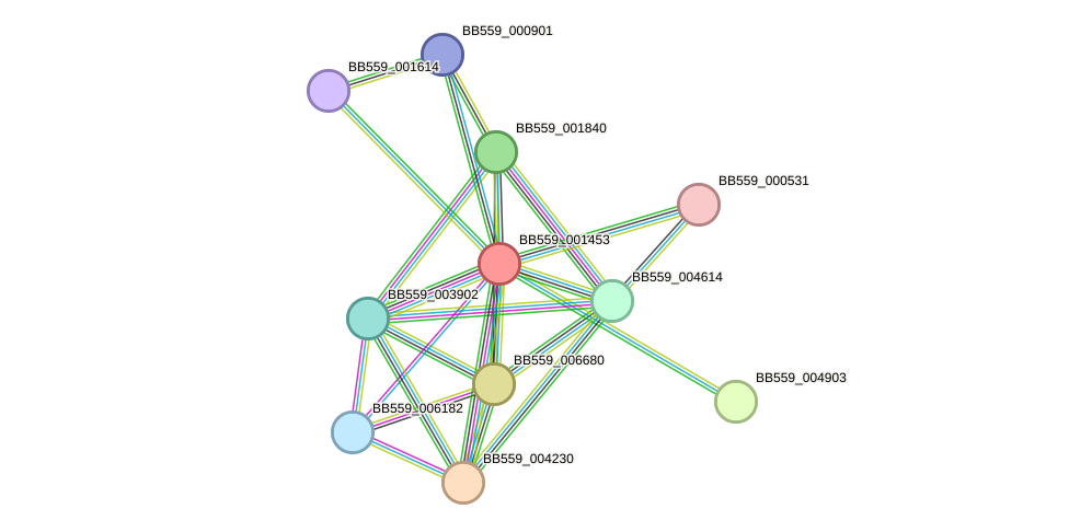 STRING protein interaction network