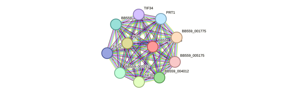 STRING protein interaction network