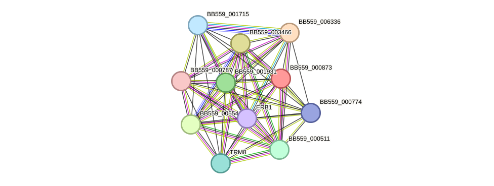 STRING protein interaction network