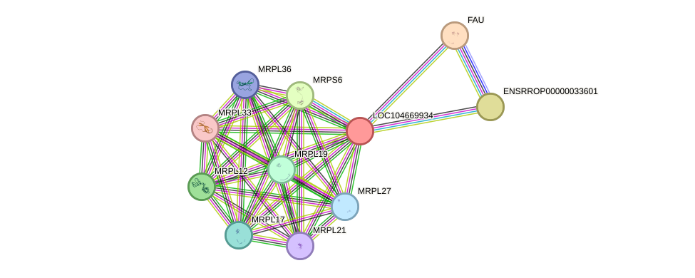 STRING protein interaction network