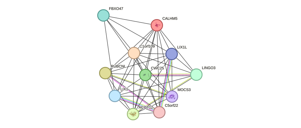 STRING protein interaction network