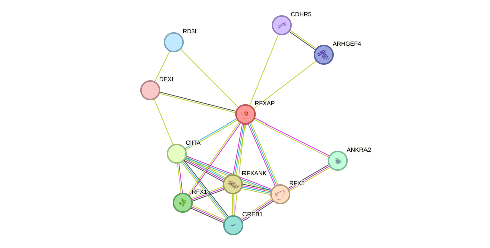 STRING protein interaction network