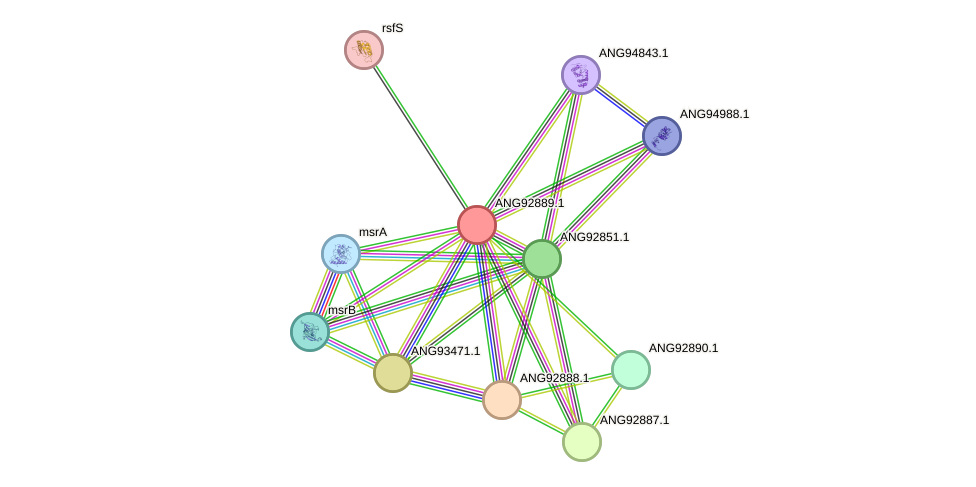 STRING protein interaction network