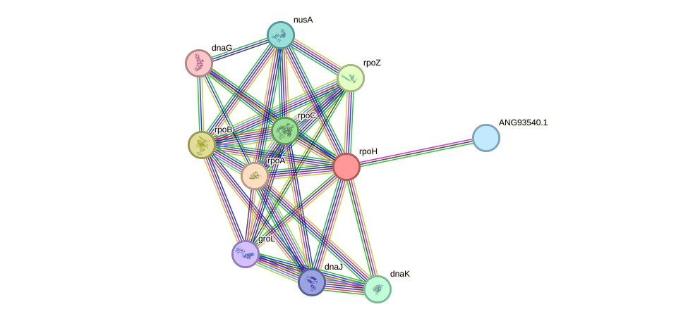 STRING protein interaction network