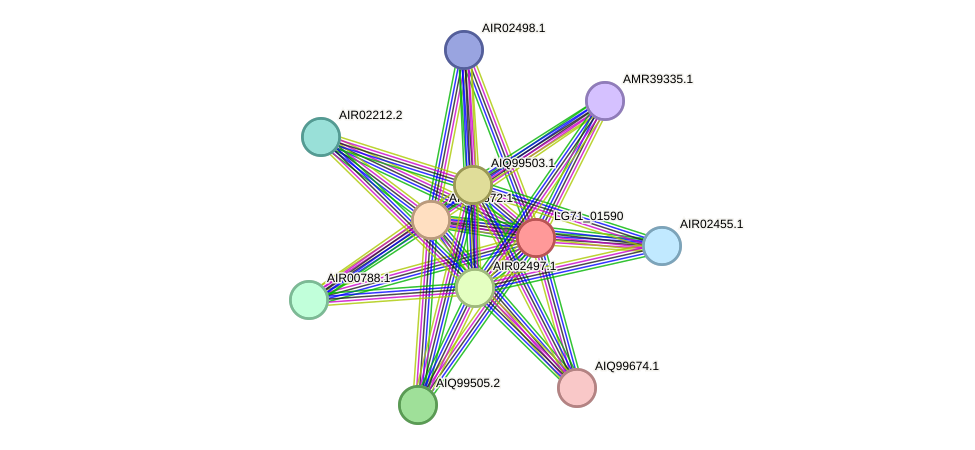 STRING protein interaction network