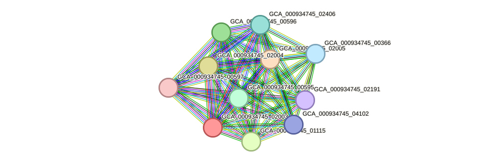 STRING protein interaction network