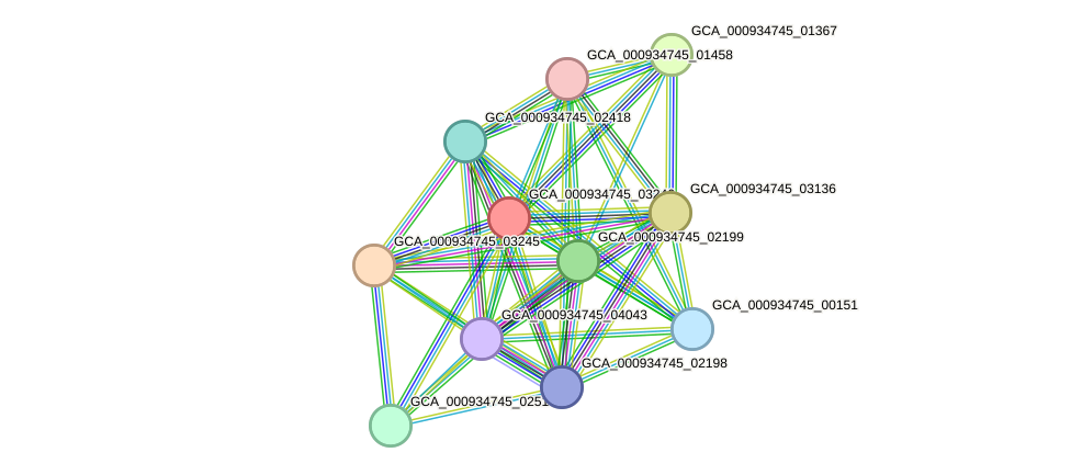 STRING protein interaction network