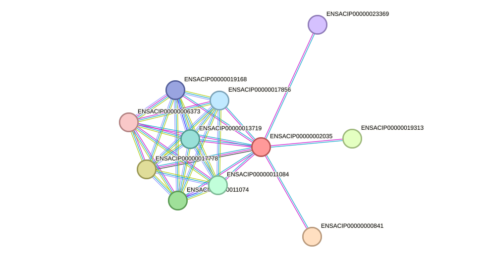 STRING protein interaction network