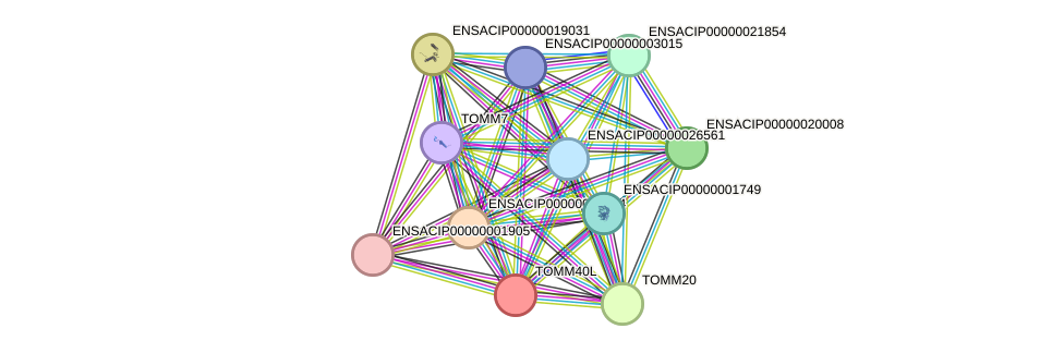 STRING protein interaction network