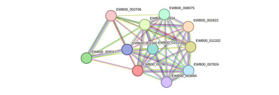 STRING protein interaction network