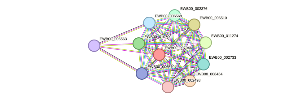 STRING protein interaction network