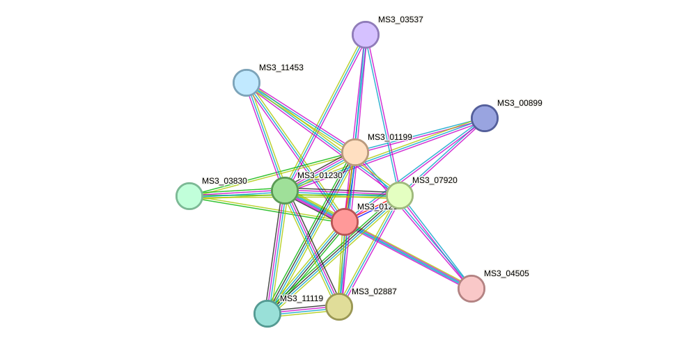 STRING protein interaction network