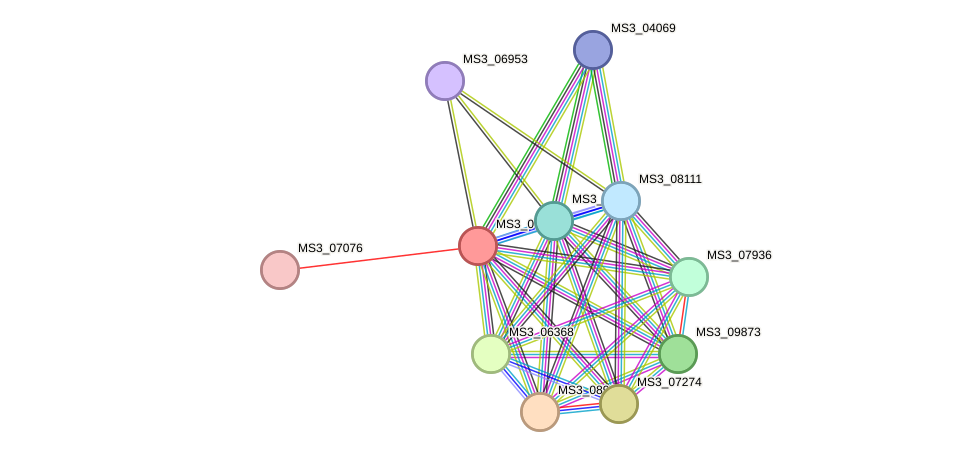 STRING protein interaction network