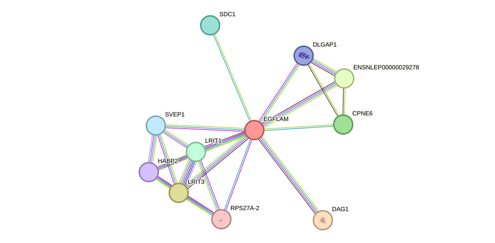 STRING protein interaction network