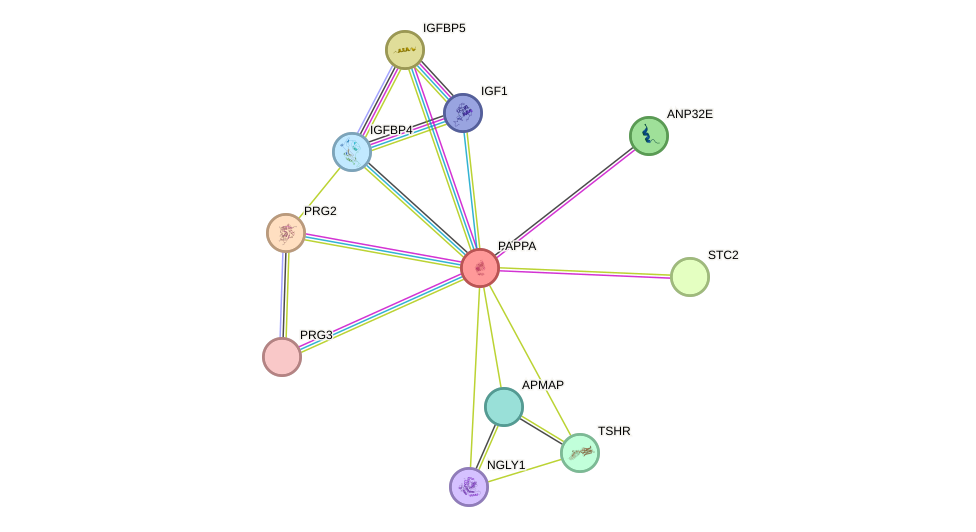 STRING protein interaction network