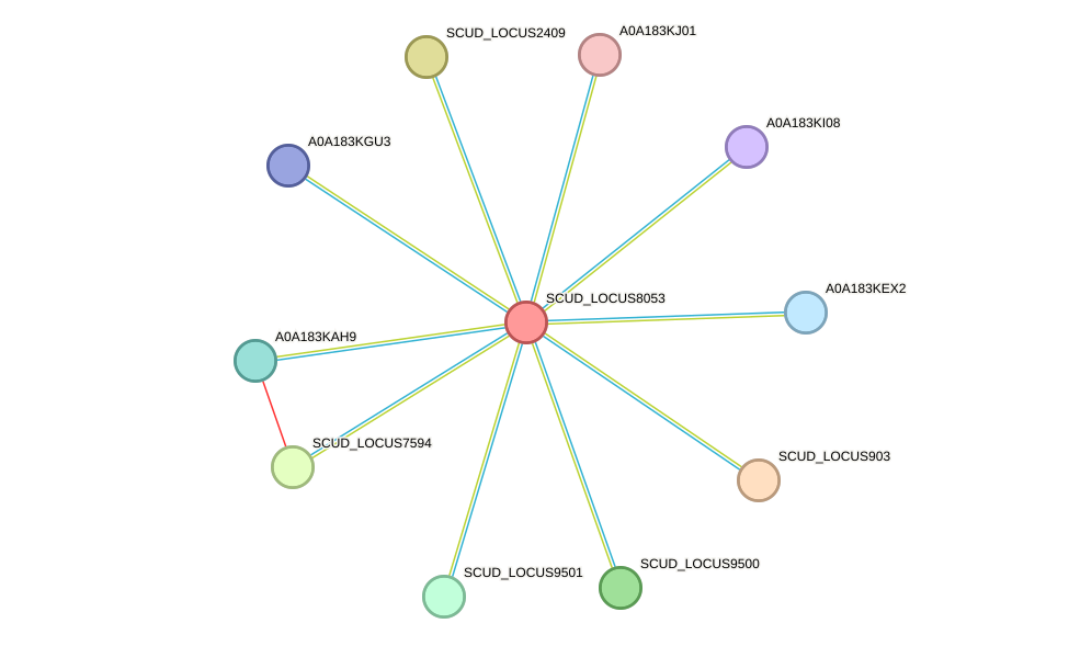 STRING protein interaction network