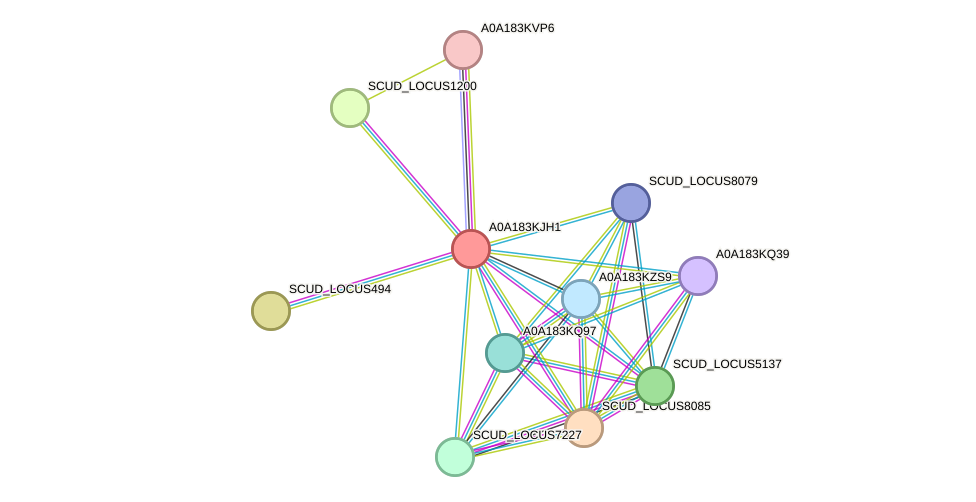 STRING protein interaction network