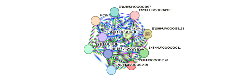 STRING protein interaction network