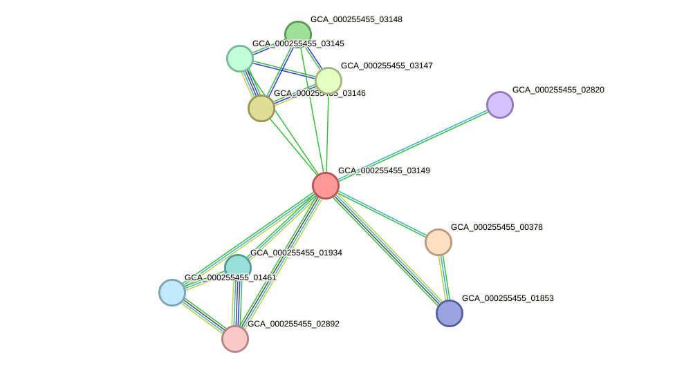 STRING protein interaction network